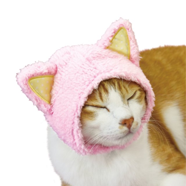 Make Your Cat Even Cuter With This New Line Of Cat Ear Hoods For Cats